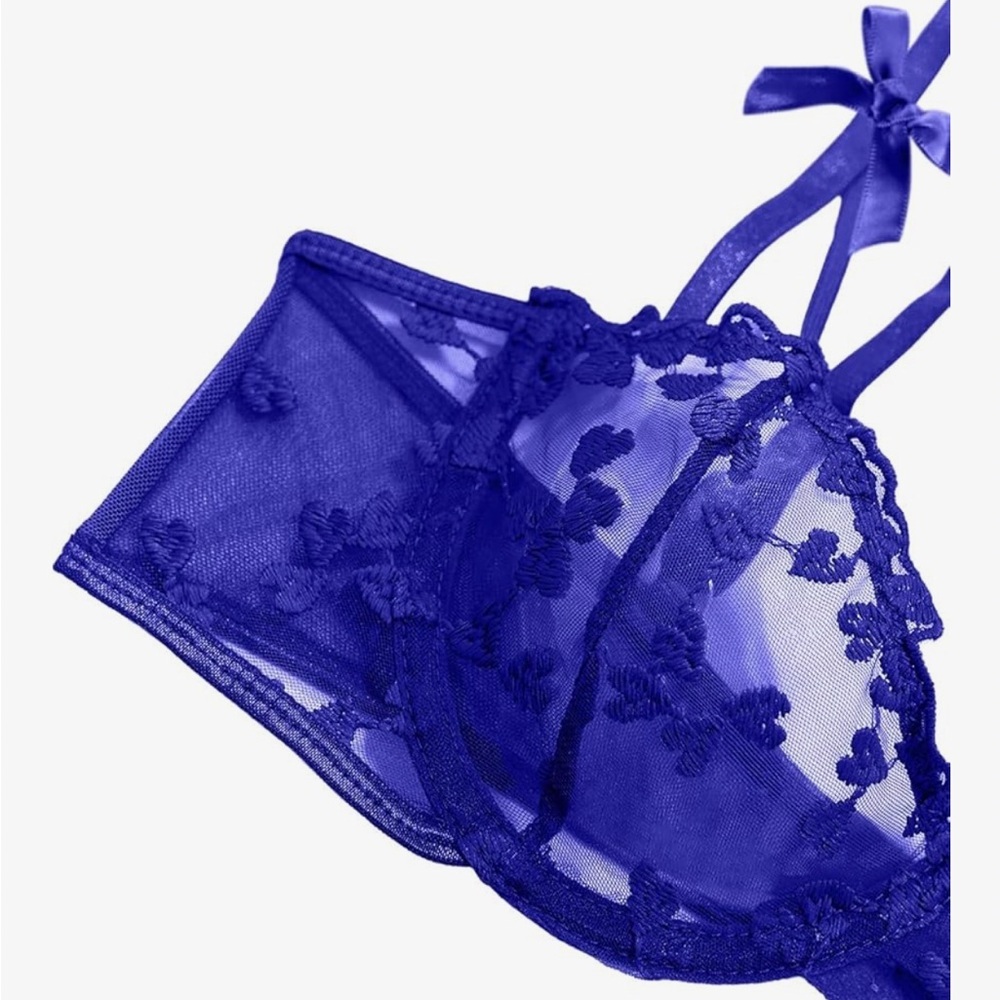 Blue Heart Lace Lingerie Set Sheer Mesh Underwire Bra Thong. - Picture 7 of 7